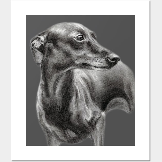 Greyhound Drawing Wall Art by animalpaintings